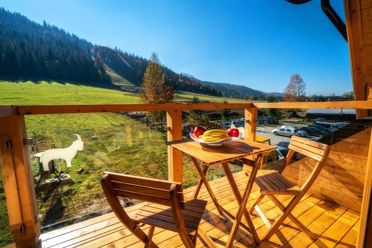 Nosal Apartment Zakopane Ngoại thất bức ảnh